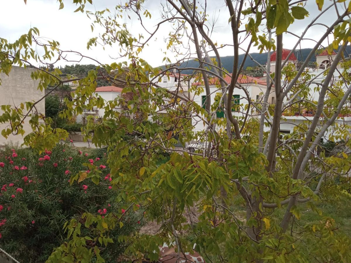 Bissias Guest House Galatás Bagian luar foto